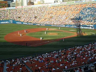 010.jpg